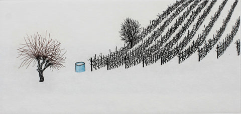 Silenzi invernali