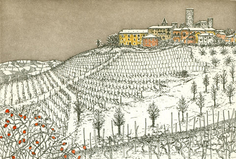 Castiglione Falletto (inverno)
